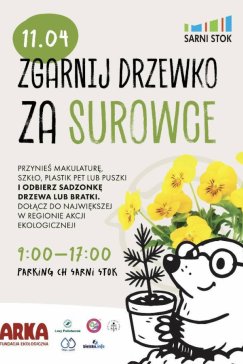 Sadzonki lub bratki w zamian za odpady