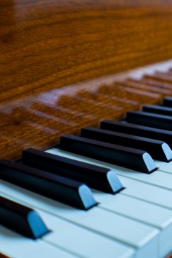Letnia noc z muzyką organową
