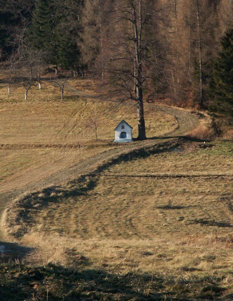 Z Drachmą po górach