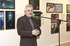 Jerzy Zegarliński, kurator wystawy.