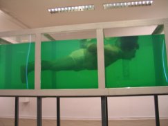 „Shark” Davida Černego, jednego z najgłośniejszych artystów światowych, był krótko eksponowany w Galerii Bielskiej BWA. Fot. ARC.
