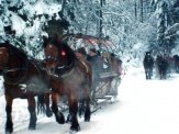 1) Zapraszamy grupy zorganizowane oraz osoby indywidualne do skorzystania z oferty SYLWESTER W BACÓWCE z KULIGIEM w malowniczej Dolinie Białej Wisełki w Wiśle :