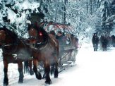 Sylwester,Święta,Weekendy-kuligi zimowe w Wiśle
