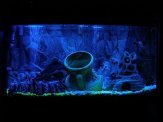 Oświetlenie do Akwarium Dzień i Noc LED!! 2x 60 