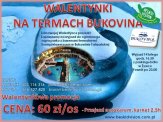 Walentynkowy wyjazd na termy w Bukowinie T.