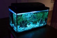 oświetlenie do Akwarium LED