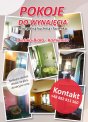 Pokoje pod debowcem do wynajęcia !