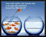 Kupię Zadłużoną Spółkę
