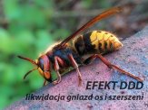 LIKWIDACJA GNIAZD OS i SZERSZENI tel. 600443462