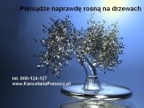 Sprzedaj Zadłużona Spółkę tel.608-124-127