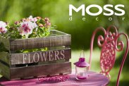 MOSS decor