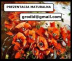 Prezentacja maturalna, poprawność i gwarancja