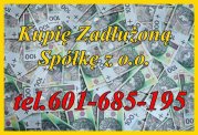 Kupię Zadłużoną Spółkę z o o