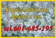 Kupię Zadłużoną Spółkę z o o
