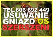 Usuwanie gniazd os, szerszeni - SKUTECZNIE