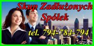 Skup Zadłużonych Spółek - Kupię Spółkę z D