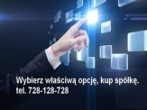 Najnowsza oferta Czysta spółka NIP REGON VAT