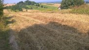Działka 30 ar idealna na dom lub dom letniskowy