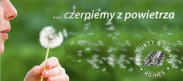 SERWISANT SPRĘŻAREK I OSUSZACZY SPRĘŻONEGO POW