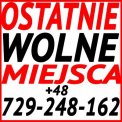Już w czwartek do Holandii bez limitu na bagaż
