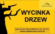 WYCINKA DRZEW- PRZYCINANIE GAŁĘZI METODĄ SEKCYJ