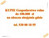 KUPIE Gospodarstwo rolne do 100 tyś zł na uboczu