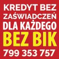 Kredyt przez Internet do 100 000 zł