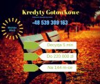 Kredyty Gotówkowe - Plac Wolności