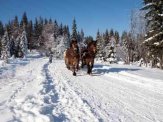 Sylwester 2016 w Beskidach!