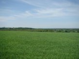 SKOCZÓW PIERSCIEC 1,21 HA Z PRAWEM ZABUDOWY PIEKN