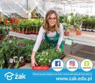 W lutym można zacząć naukę:) tutaj: florysta!