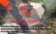 Wycinka, przycinanie drzew, karczowanie Bielsko