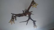 Ręcznie robione lampy z drewna/korzenia