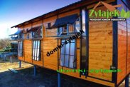 GOŁĘBNIK wysyłka gratis Promocja