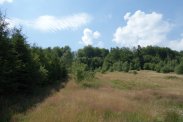 Brenna 2,53 ha z prawem zabudowy pod 2 pensjonaty