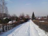 SPRZEDAM OGRÓDEK DZIAŁKOWY ROD GRONIE