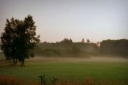 KUPIĘ DZIAŁKĘ BUDOWLANĄ BIELSKO- BIAŁA I OKOL