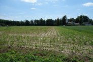 Skoczów Ochaby 3,2ha blisko trasy katowickiej
