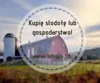 Kupię stodołę lub gospodarstwo!