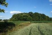sprzedam tanio działki rolne pod rekreacje