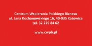 Finansowanie, kredyt dla przedsiębiorcy 322298462