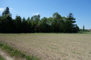 Pruchna koło Skoczowa 1,15 ha siedliskowa sprzeda