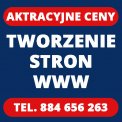 profesjonalne Tworzenie STRON WWW