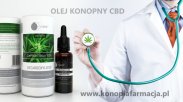 OLEJ CBD 5% ESSENZ DECARBOXYLATED - 15 ML