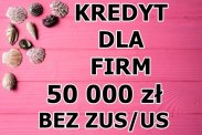 KREDYT DLA FIRM – 50 000 ZŁ BEZ NIEZALEGANIA