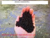 ZIEMIA OGRODOWA CZARNOZIEM  sprzedam z dostawą