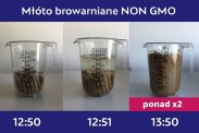Młóto browarniane suche – wolne od GMO