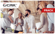 PRACOWNIK DS. ANALIZY WSTĘPNEJ – PRACA BIUROWA