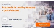 PRACOWNIK DS. ANALIZY WSTĘPNEJ