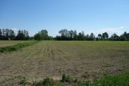 sprzedam działke siedliskową 50,8ar bdb.lokaliza